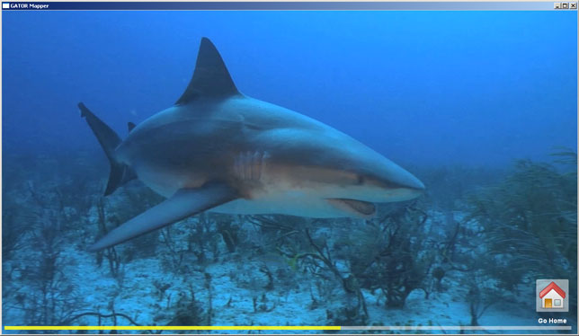 Screenshot of the video 'Figuring Out Where Bull Sharks Feed'