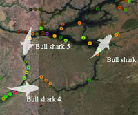 Explore data - Tracking map